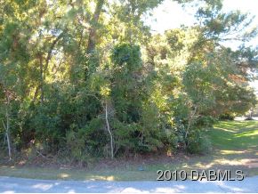 2521 Tail Spin Trail, Taxiway Lot
