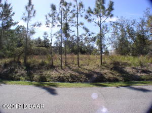 2621 Slow Flight Dr. Taxiway Lot in Spruce Creek