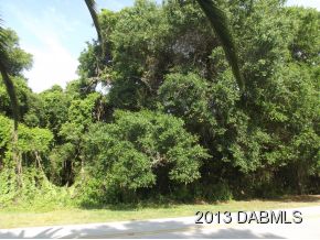 2626 Spruce Creek Blvd., Nature Lot in Spruce Creek